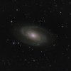 m81